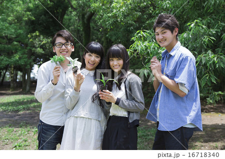 植樹をする学生たち 16718340