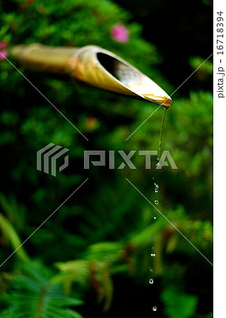 ししおどし 16718394