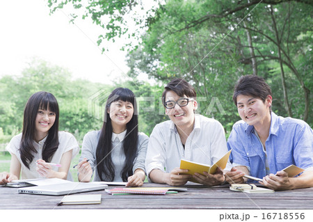 屋外で勉強をする学生たち 屋外で勉強をする学生たち 16718556