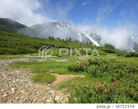 小蓮華山 小蓮華山 16722559