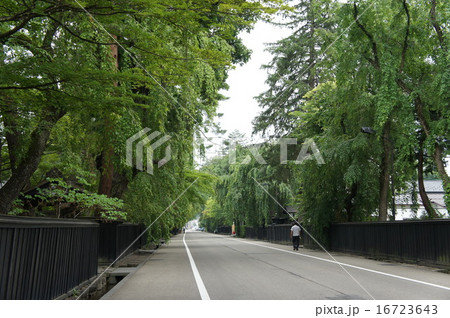 角館 角館 16723643