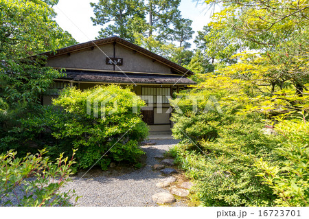 新緑の光悦寺 新緑の光悦寺 16723701