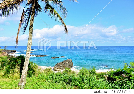 ハワイの休日 16723715