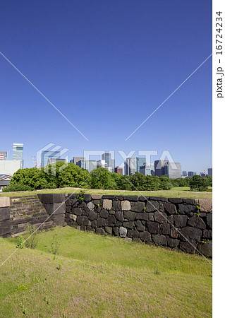 皇居東御苑からの大手町ビル群の眺め 16724234