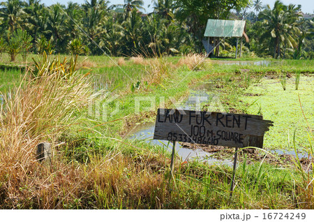 バリ島ウブドの土地看板 バリ島ウブドの土地看板 16724249