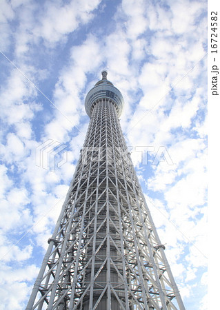 東京スカイツリー（TOKYO SKYTREE）の画像（image） 16724582