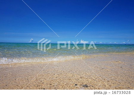 海 16733028