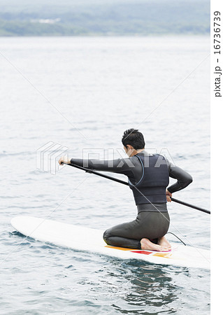 アウトドアファミリー アウトドアファミリー 16736739