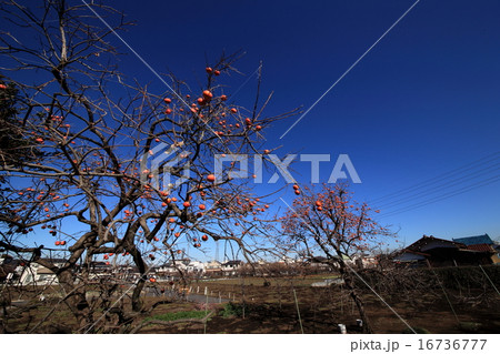 秋空 秋空 16736777