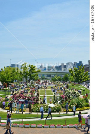 バラ園の風景 バラ園の風景 16737006