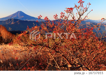 南大菩薩・大蔵高丸からの富士山 16737055