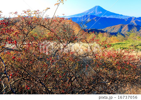 南大菩薩・大蔵高丸からの富士山 16737056