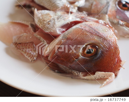 鯛のあら 鯛のあら 16737749