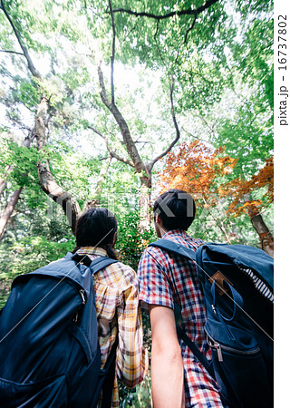 トレッキング中のカップル 16737802