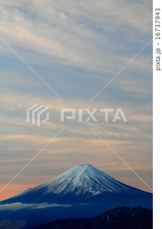 雁ヶ腹摺山からの富士山 16737943