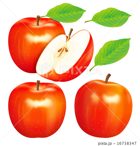 りんごのイラスト素材