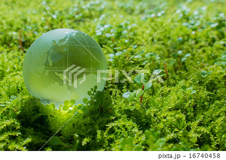 エコイメージ 地球　クリスタル 16740458