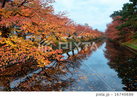 弘前城の紅葉 16740686