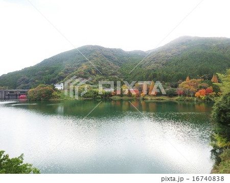 湖畔の紅葉 16740838