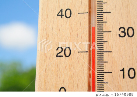 夏が来た 16740989