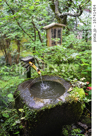 京都　三千院　清浄水 16741464