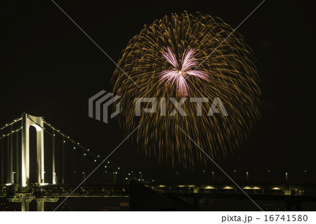東京湾大華火大会 16741580