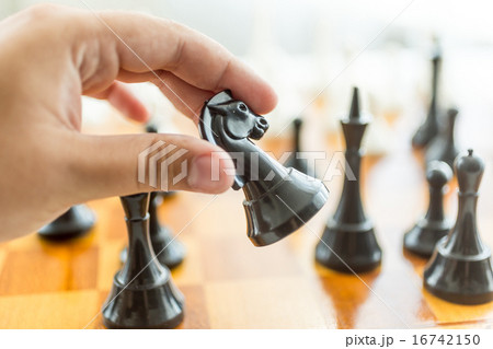 male hand holding black horse chess piece male hand holding black horse chess piece 16742150