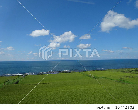 空と海と草原が広がる気持ちの良い風景の写真素材