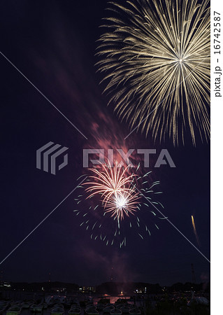 手賀沼花火大会 16742587