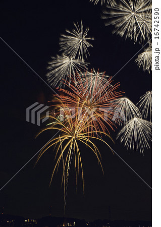 手賀沼花火大会 16742590