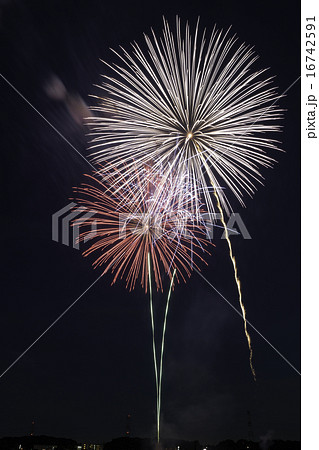 手賀沼花火大会 16742591