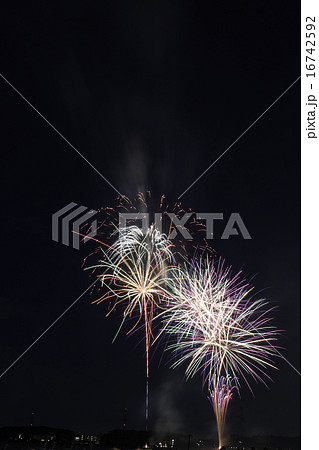 手賀沼花火大会 16742592