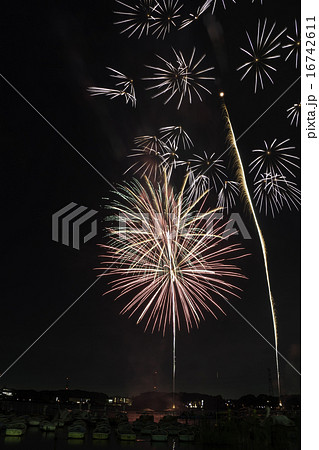 手賀沼花火大会 16742611
