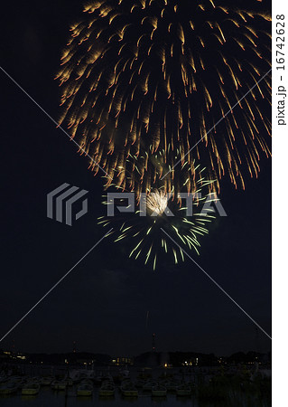 手賀沼花火大会 16742628
