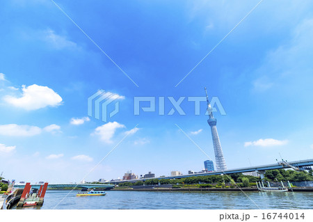 スカイツリー　東京スカイツリー　空　青空　コピースペース　観光地　日本一　日本　白い雲 16744014