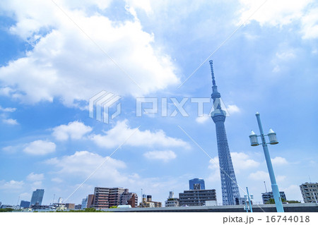 スカイツリー　東京スカイツリー　空　青空　コピースペース　観光地　日本一　日本　白い雲 16744018