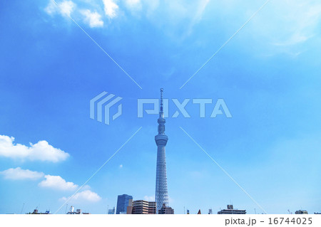 スカイツリー　東京スカイツリー　空　青空　コピースペース　観光地　日本一　日本　白い雲 16744025