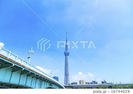 スカイツリー　東京スカイツリー　空　青空　コピースペース　観光地　日本一　日本　白い雲 16744029