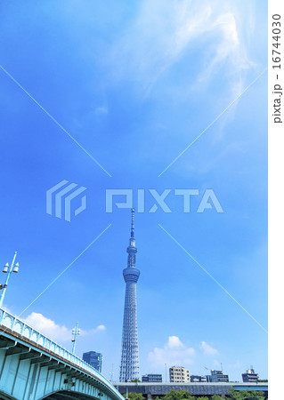 スカイツリー　東京スカイツリー　空　青空　コピースペース　観光地　日本一　日本　白い雲 16744030