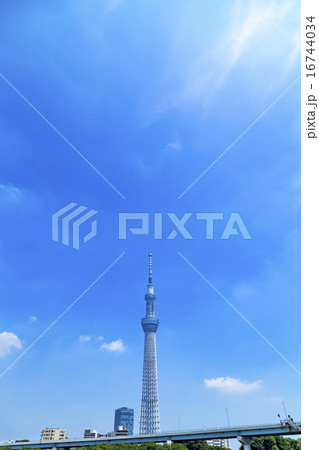 スカイツリー　東京スカイツリー　空　青空　コピースペース　観光地　日本一　日本　白い雲 16744034