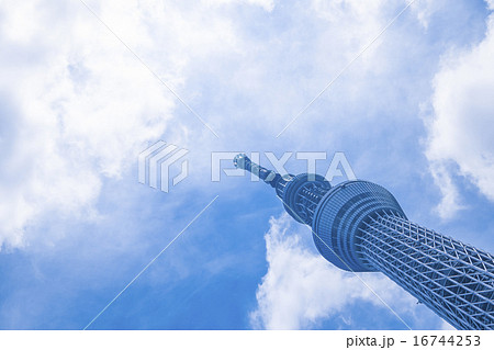 スカイツリー　東京スカイツリー　空　青空　コピースペース　観光地　日本一　日本　白い雲　観光　 16744253