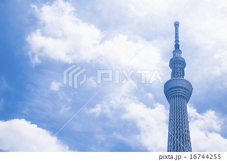 スカイツリー 東京スカイツリー 空 青空 コピースペース 観光地 日本一 日本 白い雲 観光 の写真素材