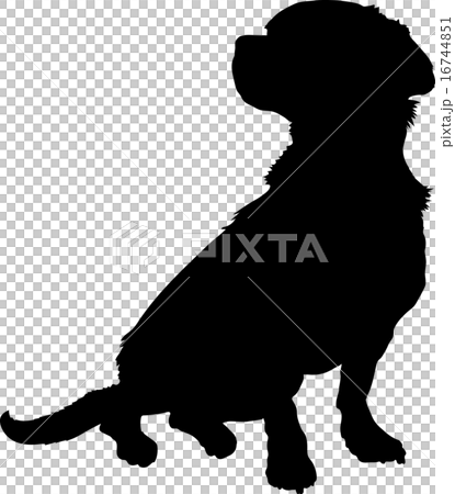 Mixed Breed Silhouette 16744851