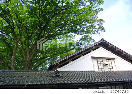 山居倉庫 山居倉庫 16746786