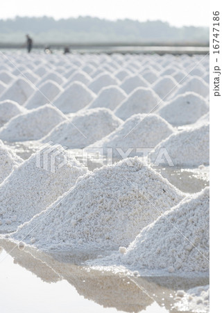 salt in the salt sea salt farm, Thailand location salt in the salt sea salt farm, Thailand location 16747186