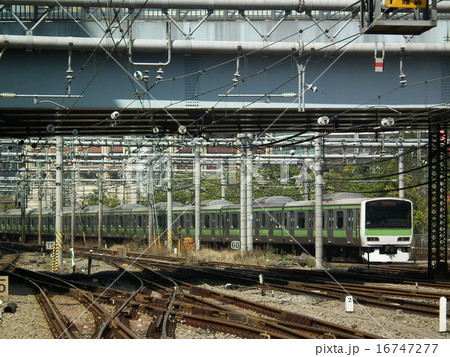 山手線　E231系　外回り　大崎駅 16747277