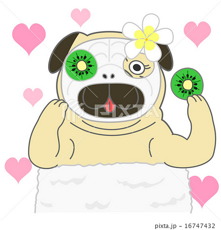 パグ　フルーツ　パック 16747432