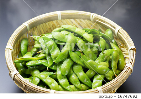 枝豆7 枝豆7 16747692