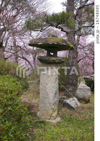 高遠城址公園に立つ苔むす石灯篭(長野県伊那市) 高遠城址公園に立つ苔むす石灯篭(長野県伊那市) 16748095