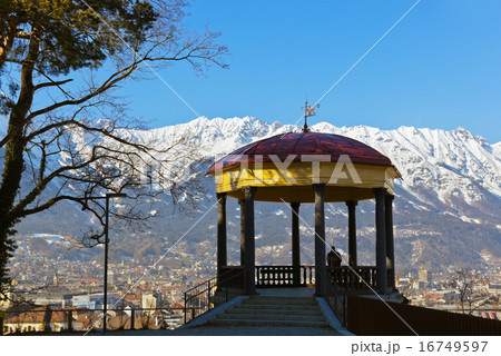 Arbor in Innsbruck Austria Arbor in Innsbruck Austria 16749597